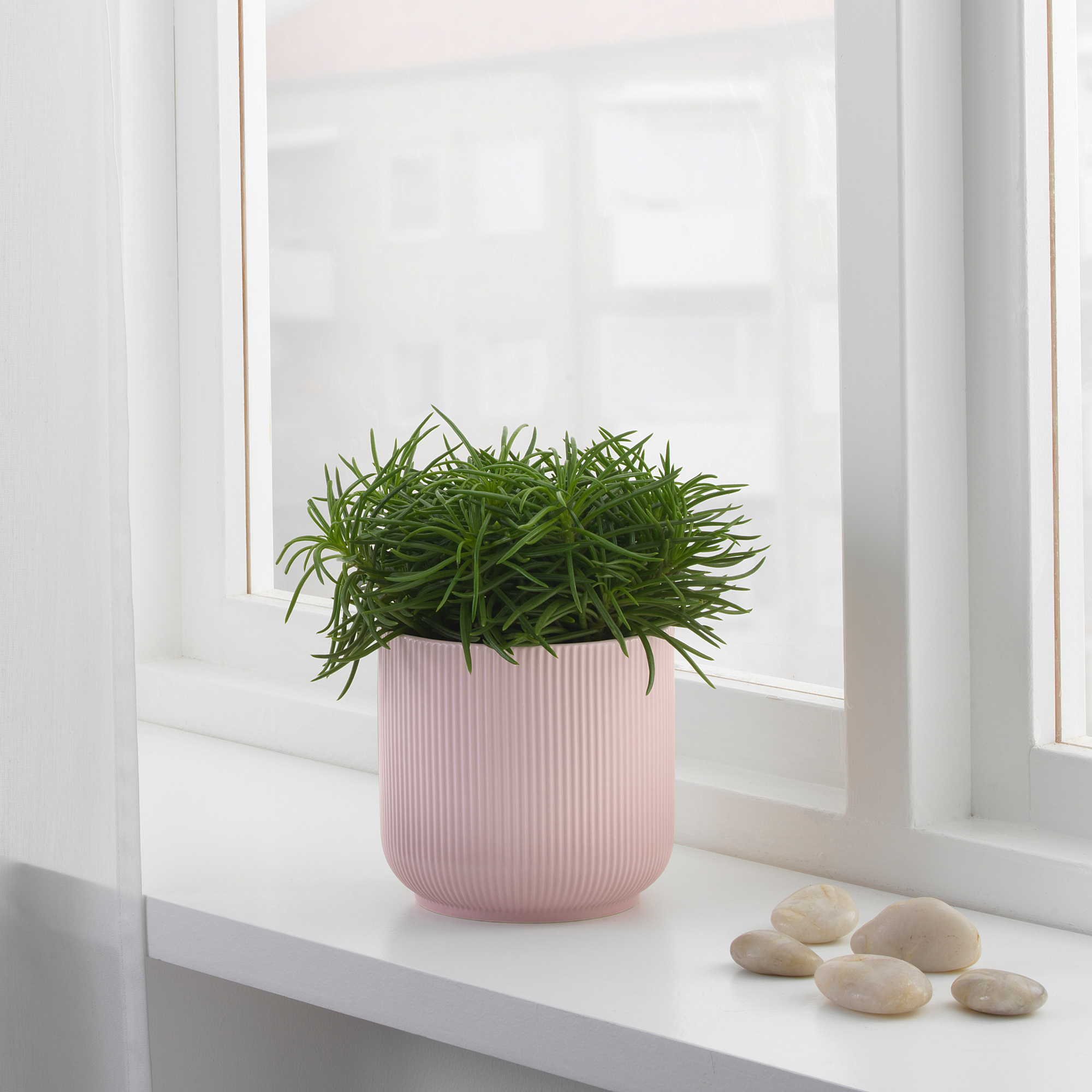 GRADVIS plant pot