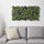 FEJKA - 人造植物, 上牆式/室內/戶外用 綠色/紫色 | IKEA 線上購物 - PE643391_S1