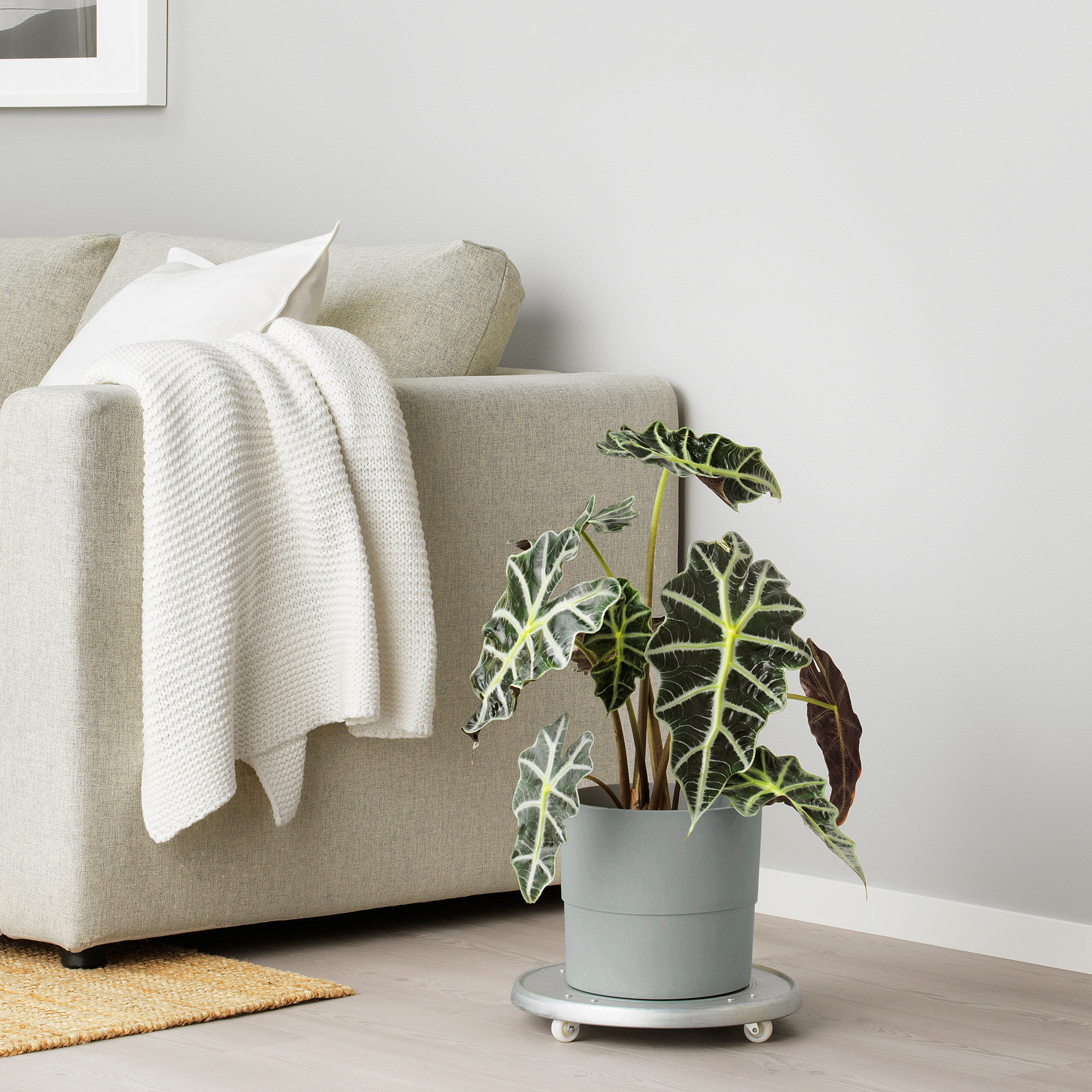 NYPON plant pot