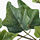 FEJKA - 人造盆栽, 室內/戶外用/常春藤 彎曲 | IKEA 線上購物 - PE686804_S1