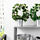 FEJKA - 人造盆栽, 室內/戶外用/常春藤 彎曲 | IKEA 線上購物 - PE687842_S1