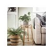 TOLKNING plant stand