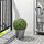 FEJKA - 人造植物, 室內/戶外用/黃楊 球形 | IKEA 線上購物 - PE709261_S1