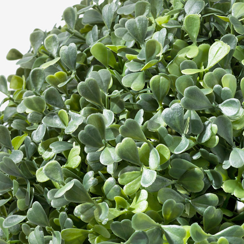 FEJKA - 人造植物, 室內/戶外用/黃楊 球形 | IKEA 線上購物 - PE709280_S4