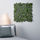 FEJKA - 人造植物, 上牆式/室內/戶外用 綠色 | IKEA 線上購物 - PE643394_S1