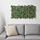 FEJKA - 人造植物, 上牆式/室內/戶外用 綠色 | IKEA 線上購物 - PE643395_S1