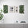 FEJKA - 人造植物, 上牆式/室內/戶外用 綠色 | IKEA 線上購物 - PE660550_S1