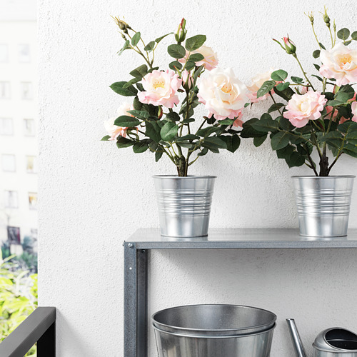 FEJKA - 人造盆栽, 室內/戶外用/迷你玫瑰 粉紅色 | IKEA 線上購物 - PE687826_S4