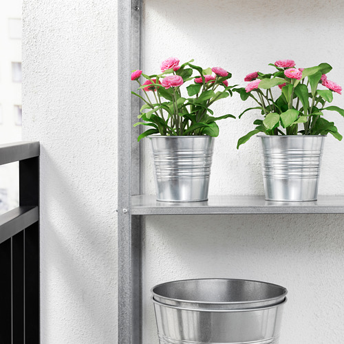 FEJKA - artificial potted plant, in/outdoor/Common daisy pink | IKEA Taiwan Online - PE687843_S4