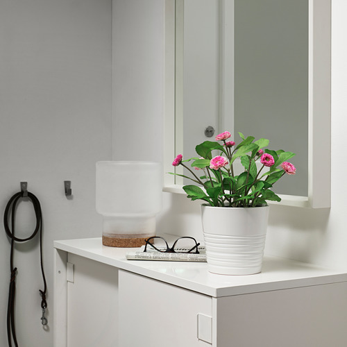 FEJKA - 人造盆栽, 室內/戶外用/雛菊 粉紅色 | IKEA 線上購物 - PE687844_S4
