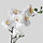 FEJKA - 人造盆栽, 蘭花 白色 | IKEA 線上購物 - PE594510_S1