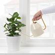 VATTENKRASSE watering can