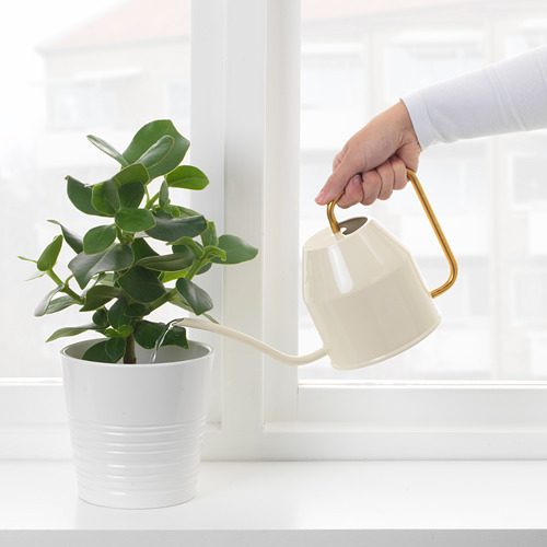 VATTENKRASSE watering can