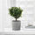 NYPON - 花盆, 室內/戶外用 灰色 | IKEA 線上購物 - PE700328_S1