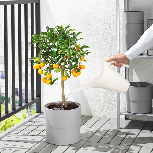 IKEA PS 2002 watering can