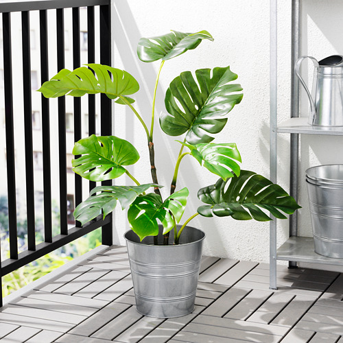 FEJKA - 人造盆栽, 室內/戶外用 龜背芋 | IKEA 線上購物 - PE687834_S4