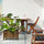 FEJKA - 人造盆栽, 室內/戶外用 龜背芋 | IKEA 線上購物 - PE689306_S1
