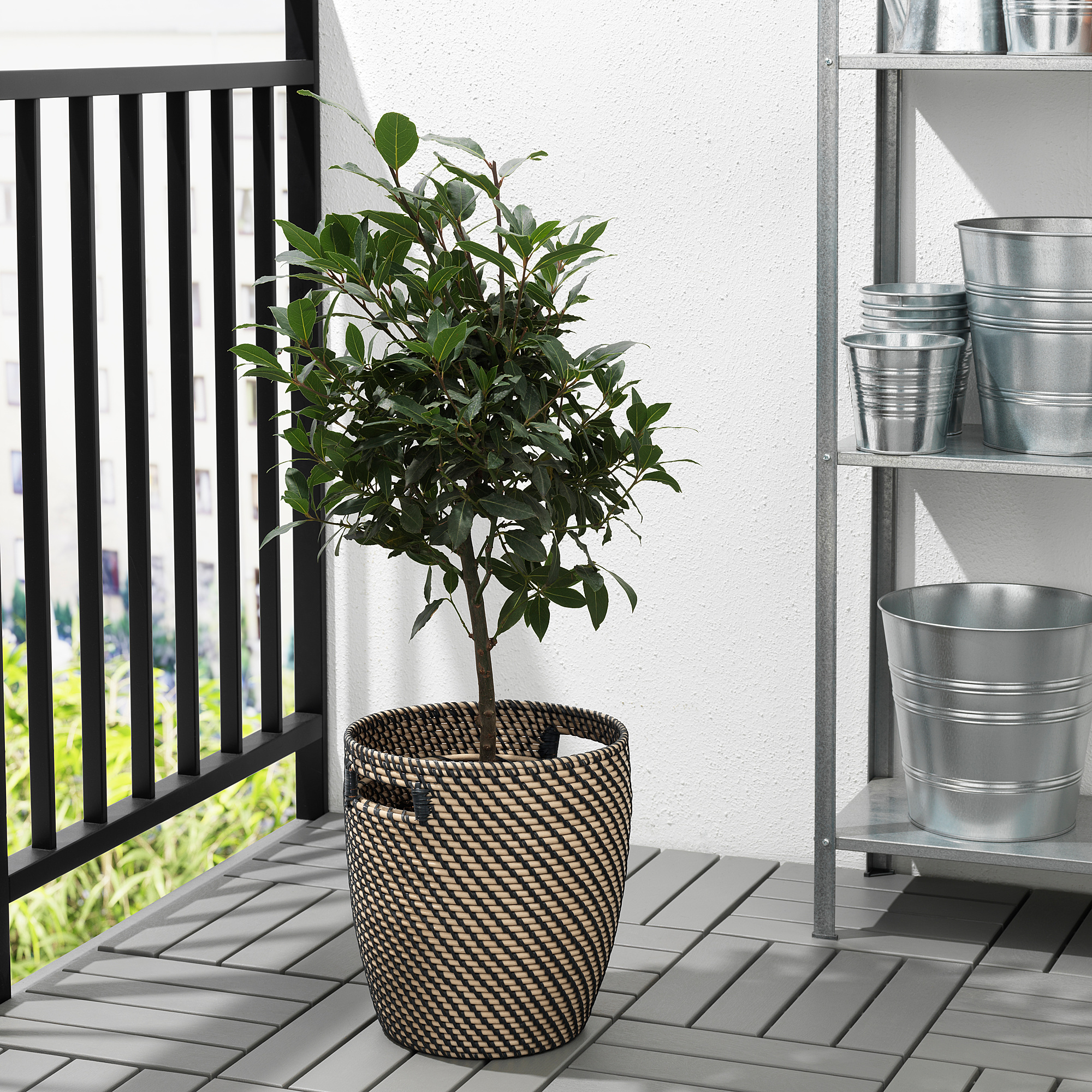 RÅGKORN plant pot