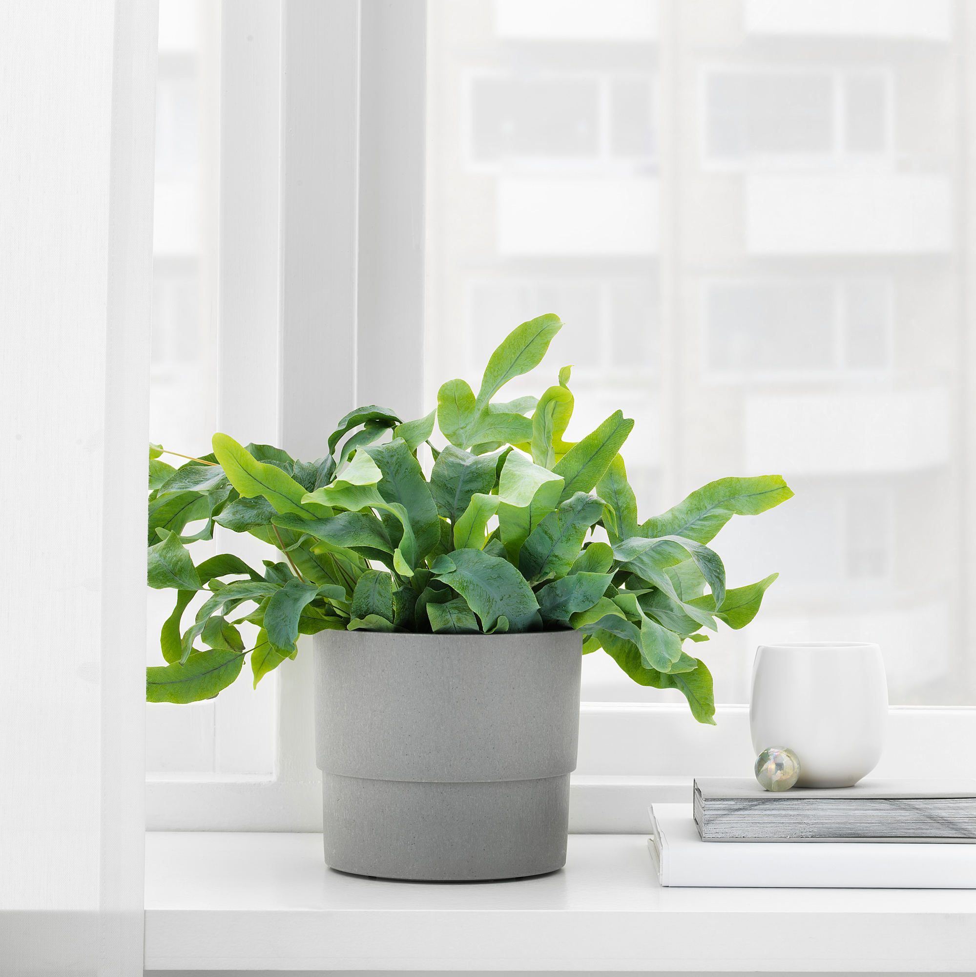Nypon 花盆 室內 戶外用灰色 Ikea 線上購物 Ikea 線上購物 選購家具 燈飾 家飾品等