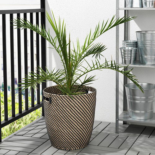 RÅGKORN - plant pot, in/outdoor natural | IKEA Taiwan Online - PE721643_S4