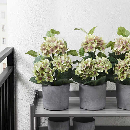 FEJKA - 人造盆栽, 室內/戶外用/繡球花 綠色 | IKEA 線上購物 - PE717268_S4