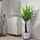 FEJKA - 人造盆栽, 室內/戶外用 棕櫚 | IKEA 線上購物 - PE687862_S1