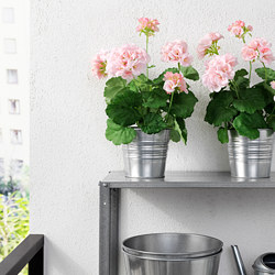 FEJKA - artificial potted plant, in/outdoor/Rose pink | IKEA Taiwan Online - PE686811_S3