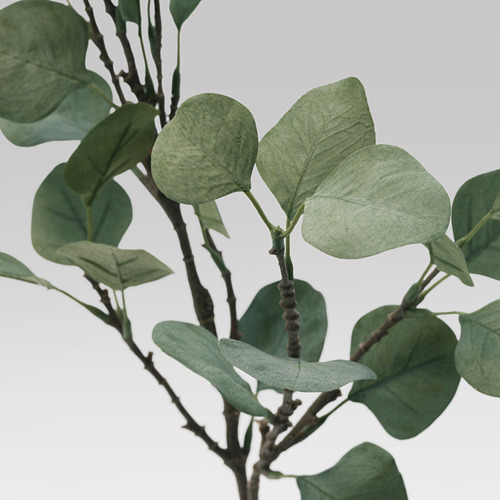 SMYCKA - 人造樹葉, 尤加利木/綠色 | IKEA 線上購物 - PE596763_S4