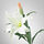SMYCKA - artificial flower, Lily/white | IKEA Taiwan Online - PE596780_S1