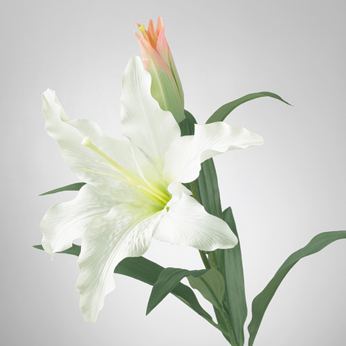 SMYCKA - artificial flower, Lily/white | IKEA Taiwan Online - PE596780_S4