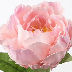SMYCKA - 人造花, 尤加利木/粉紅色 | IKEA 線上購物 - PE685430_S3