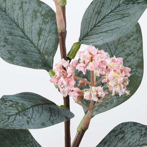 SMYCKA - 人造花, 尤加利木/粉紅色 | IKEA 線上購物 - PE685441_S4