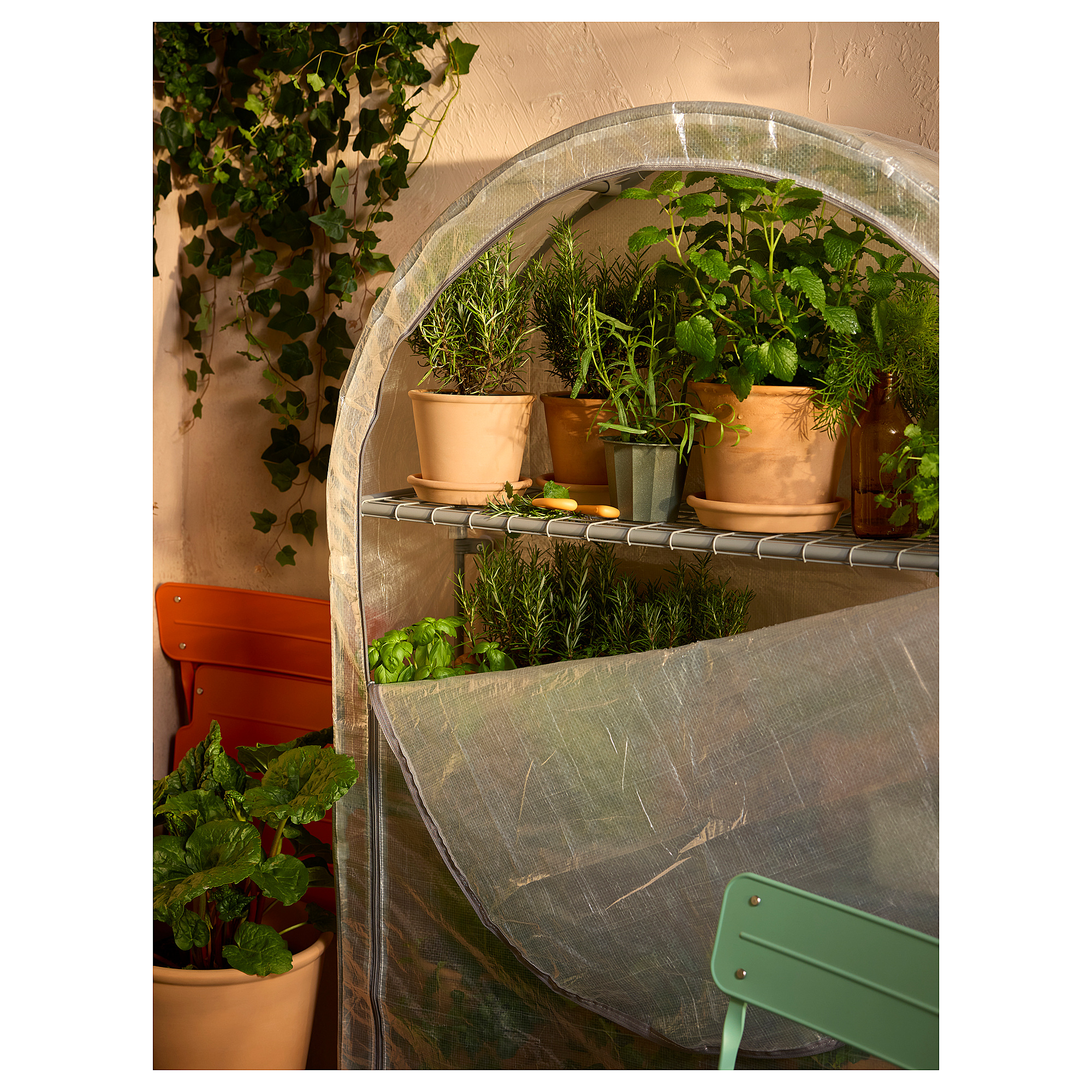 ASPAREN greenhouse