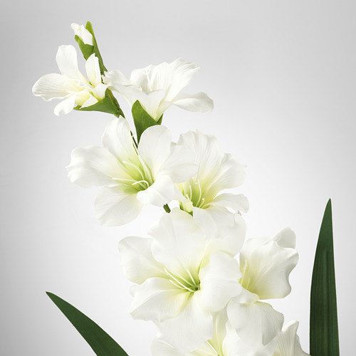 SMYCKA - 人造花, 劍蘭/白色 | IKEA 線上購物 - PE595317_S4