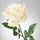 SMYCKA - 人造花, 玫瑰/白色 | IKEA 線上購物 - PE596774_S1