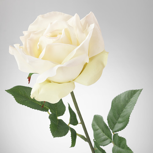 SMYCKA - 人造花, 玫瑰/白色 | IKEA 線上購物 - PE596774_S4