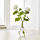 VILJESTARK - 花瓶, 透明玻璃 | IKEA 線上購物 - PE629545_S1