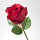 SMYCKA - 人造花, 迷你玫瑰/紅色 | IKEA 線上購物 - PE596728_S1