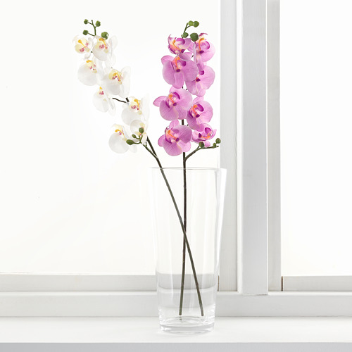 SMYCKA - 人造花, 蘭花/白色 | IKEA 線上購物 - PE596754_S4