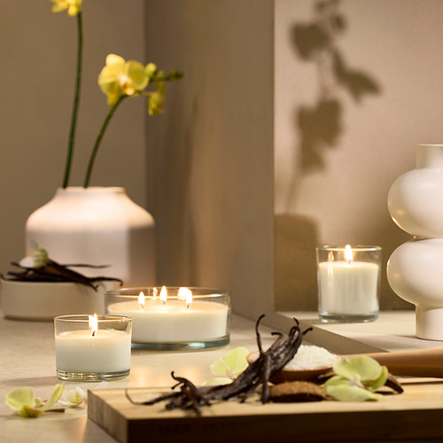 LOTSFÅGEL scented candle in glass