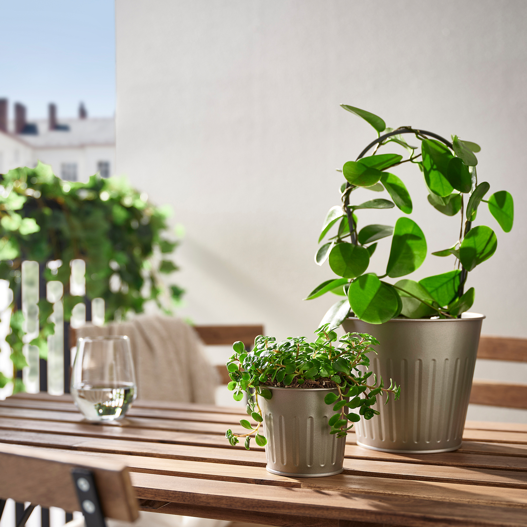 CITRONMELISS plant pot