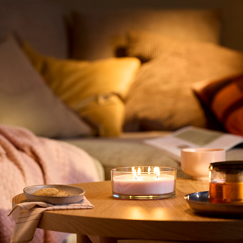 LOTSFÅGEL scented candle in glass, 3 wicks