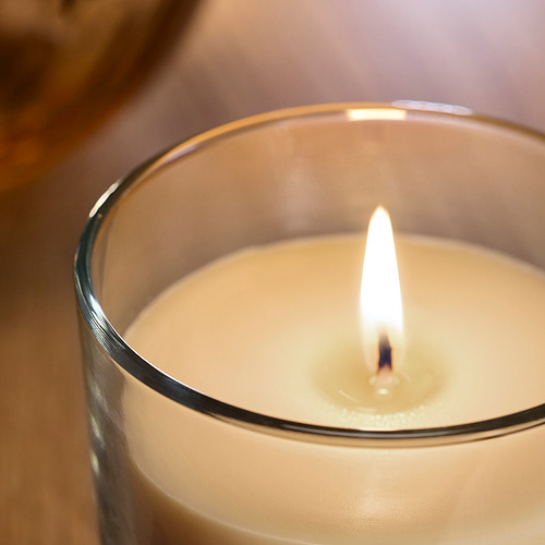 LOTSFÅGEL scented candle in glass