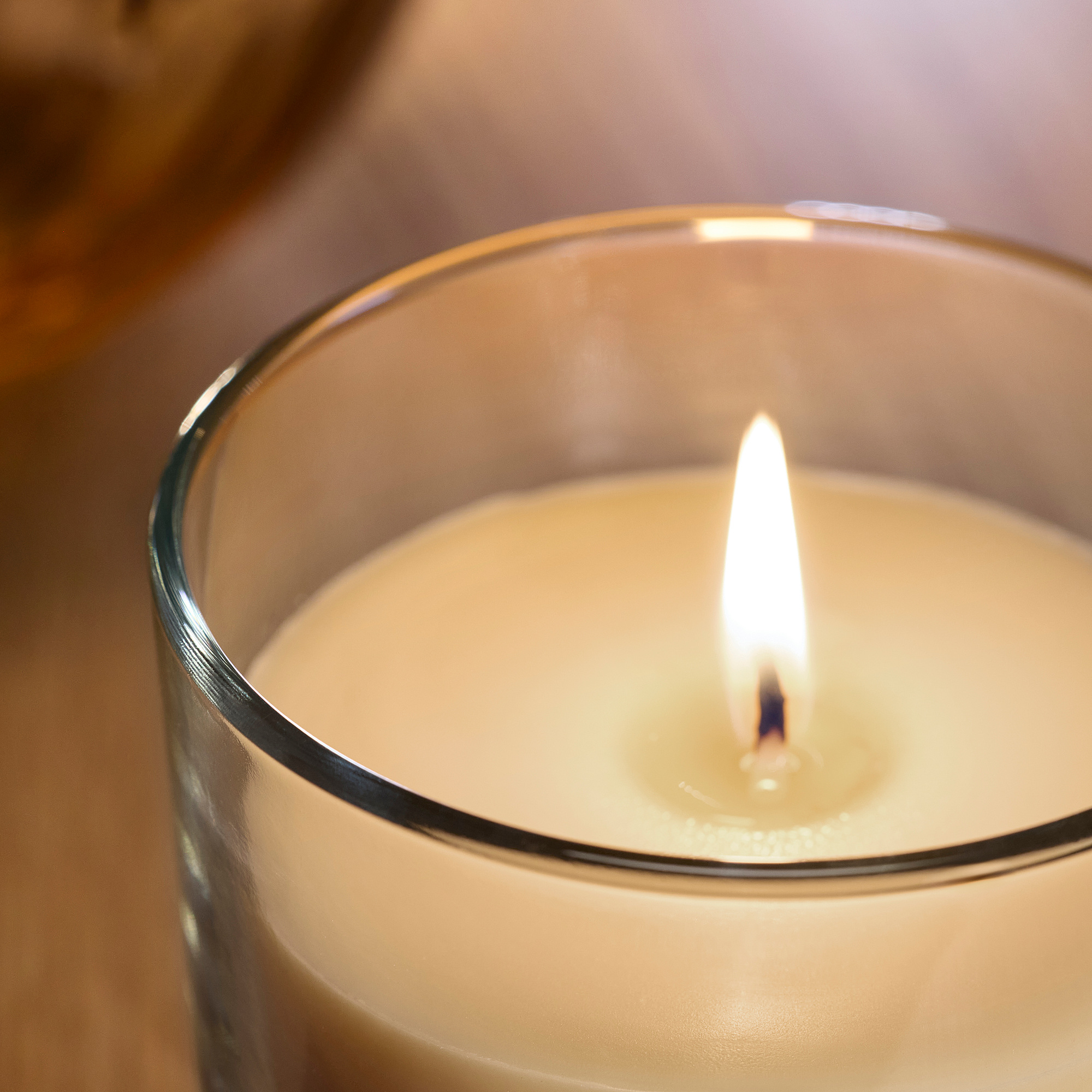 LOTSFÅGEL scented candle in glass