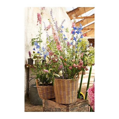 FLODBJÖRK plant pot