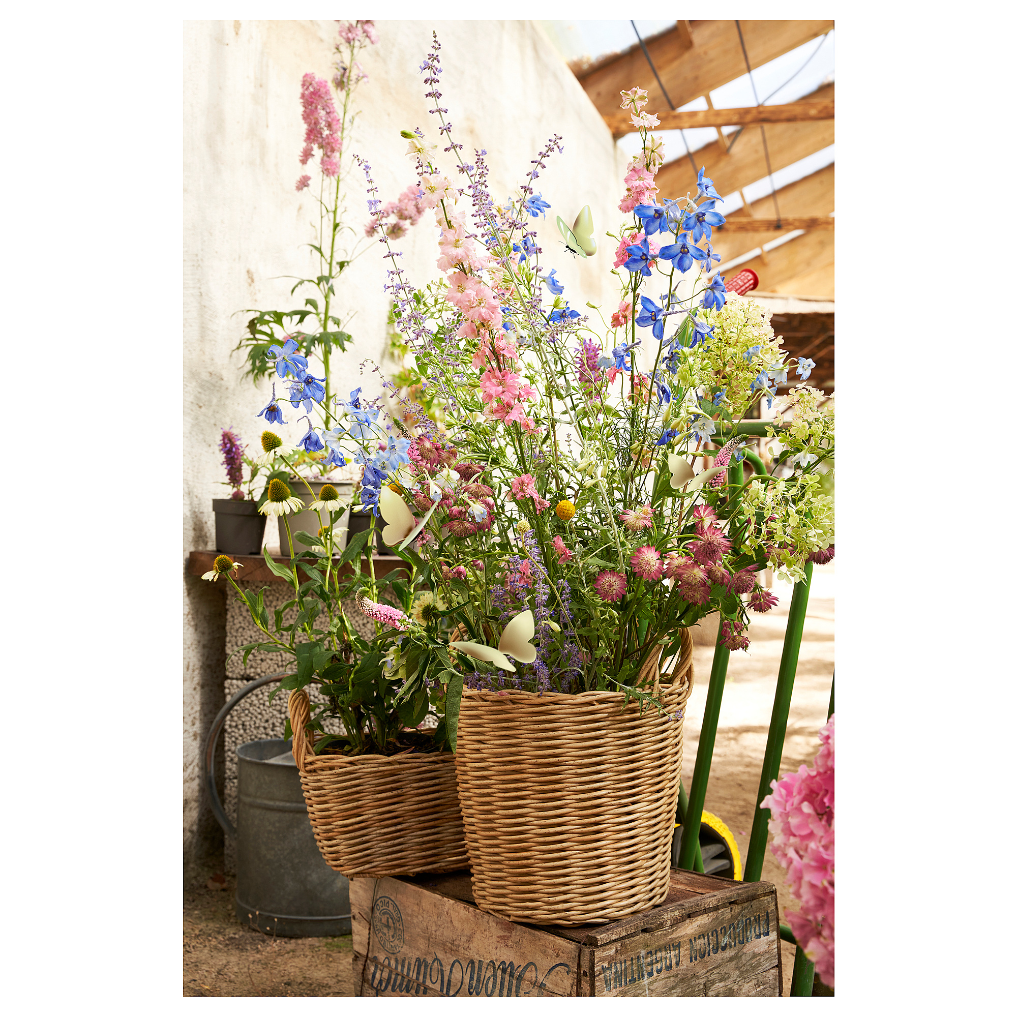 FLODBJÖRK plant pot