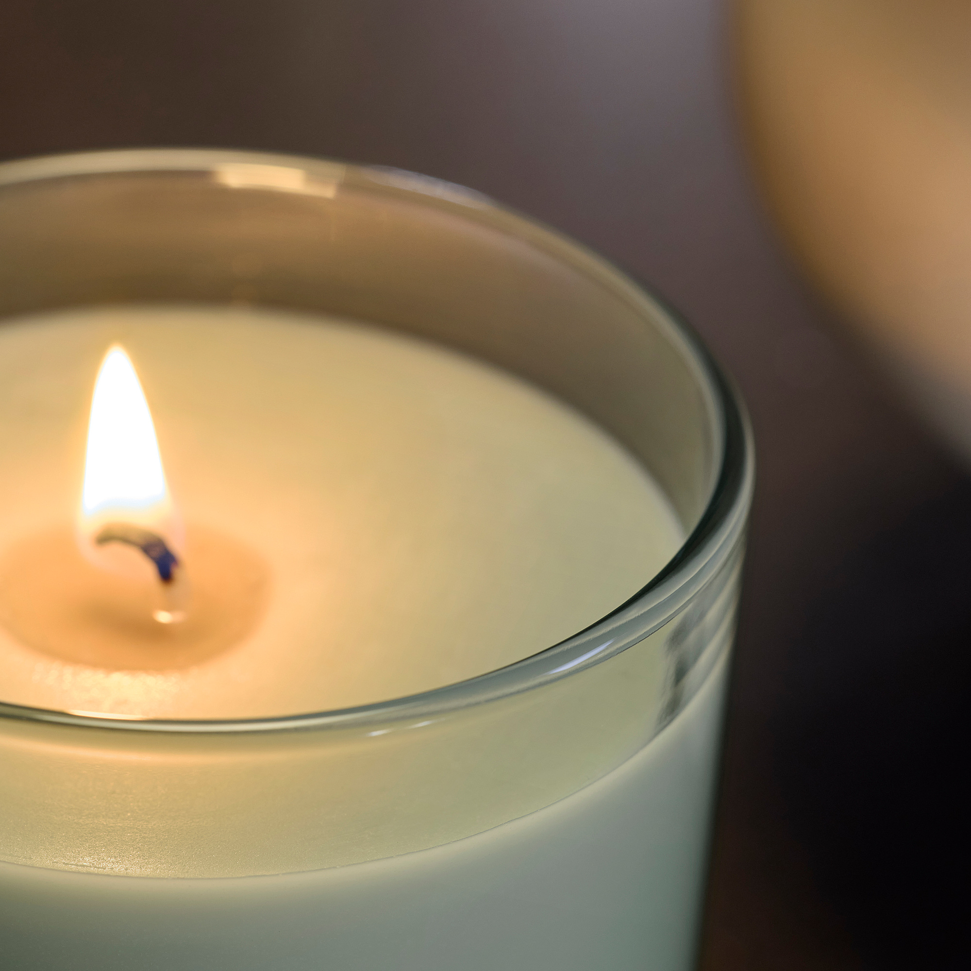 LOTSFÅGEL scented candle in glass