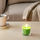 SINNLIG - scented candle in glass, Apple and pear/green | IKEA Taiwan Online - PE630192_S1