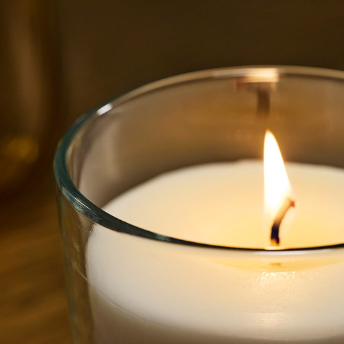 LOTSFÅGEL scented candle in glass