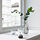 EFTERTÄNKA - decorative hourglass, clear glass/sand | IKEA Taiwan Online - PE825810_S1